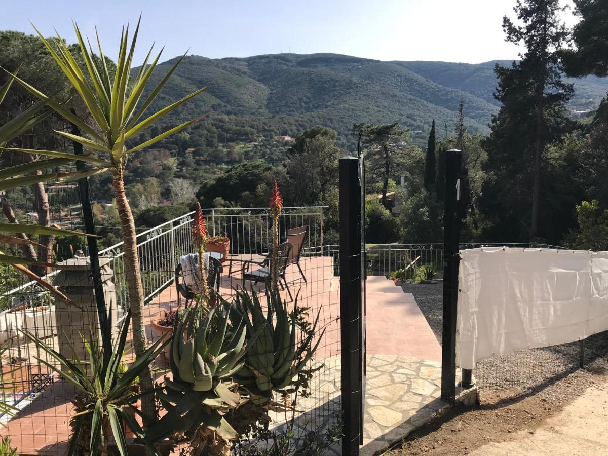 Suosogno sul mare Apartment Capoliveri  Exterior foto