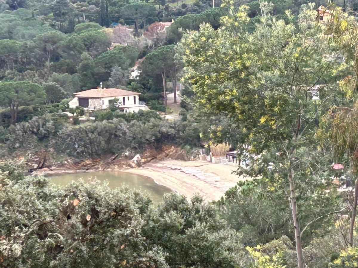 Suosogno sul mare Apartment Capoliveri  Exterior foto